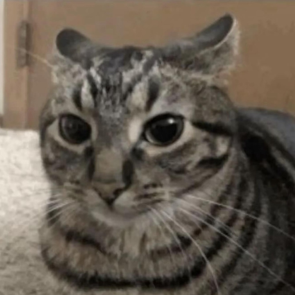 Meet your Posher, Aaliyah